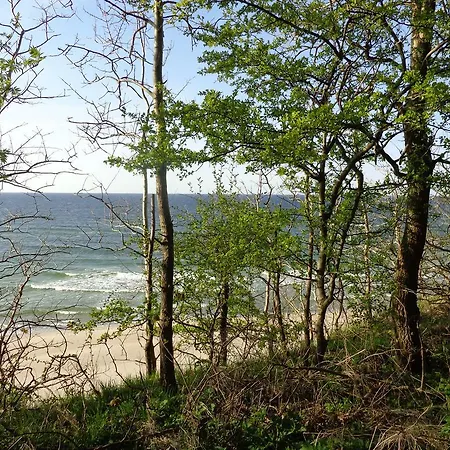 Albatros I Homestay Rewal